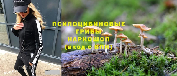 шишки Богданович