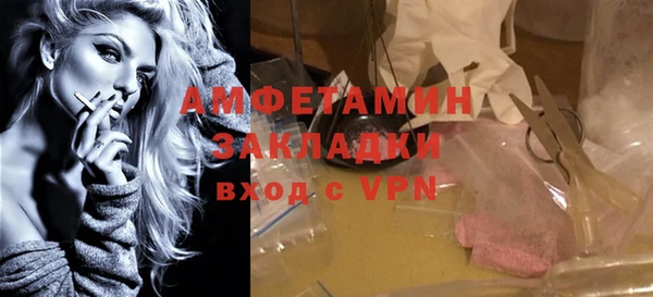 гидра Грязовец
