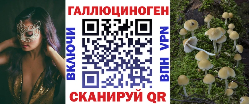 цены наркотик  Медногорск  Псилоцибиновые грибы ЛСД 